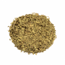 Salvia divinorum