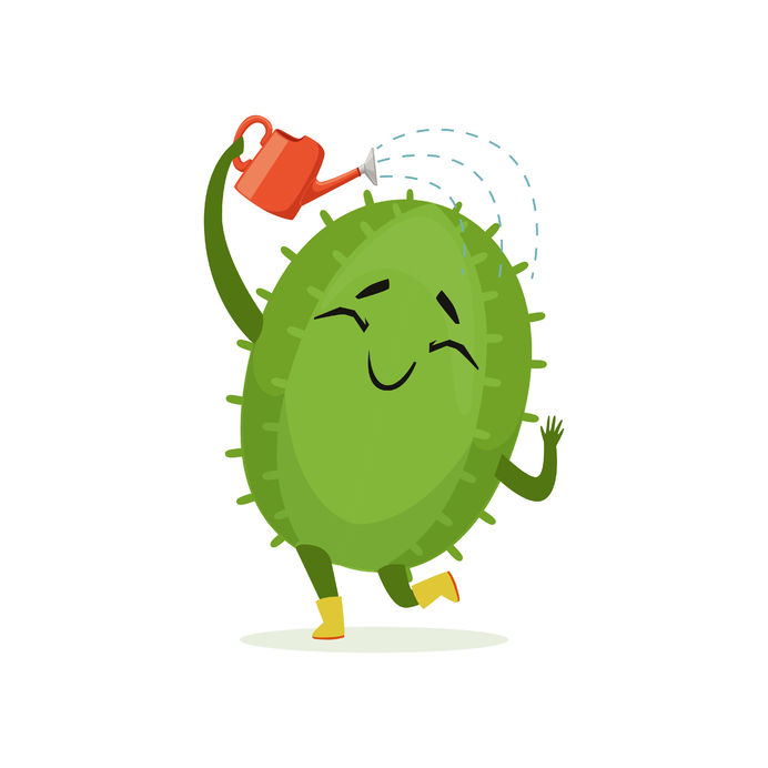 Cactus kweekset