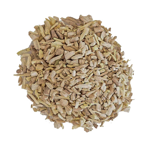 Ashwaganda - Withania somnifera