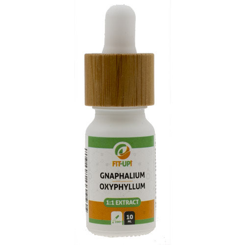 Gnaphalium oxyphyllum 1:1 extract