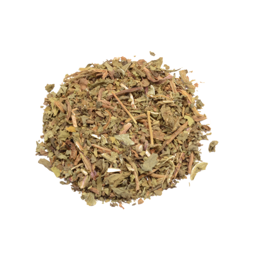 Wild lettuce - Lactuca virosa