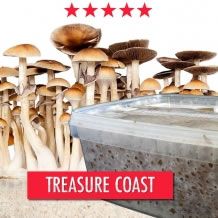 Treasure Coast Paddo Groeikit - 1200cc