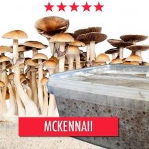 McKennaii Paddo Groeikit - 1200cc