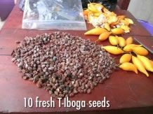 Tabernanthe iboga - 100 verse zaden